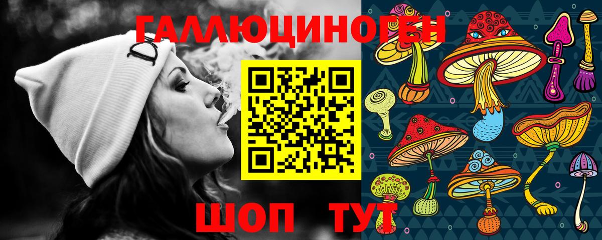 Псилоцибиновые грибы GOLDEN TEACHER  Вход с VPN  Казань  купить наркотики сайты  Псилоцибиновые грибы мицелий 